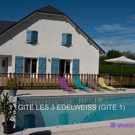 Les 3 Edelweiss - Gite 1 Ou Gite 2 Arette Exterior foto