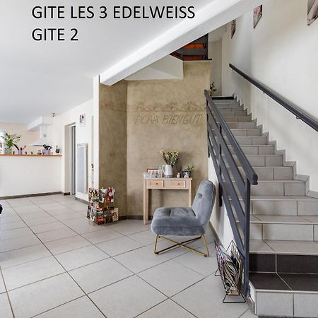 Les 3 Edelweiss - Gite 1 Ou Gite 2 Arette Exterior foto